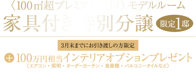 家具付き特別分譲